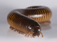 Skjermbilde 2019-02-11 kl. 13.04.14.png