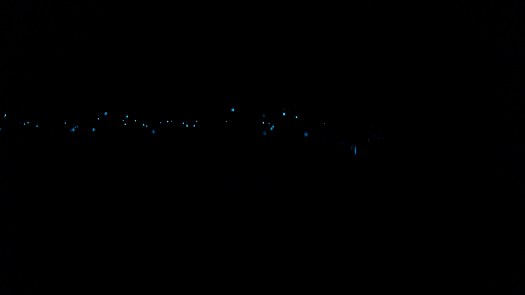 Sigve morildblink.jpg