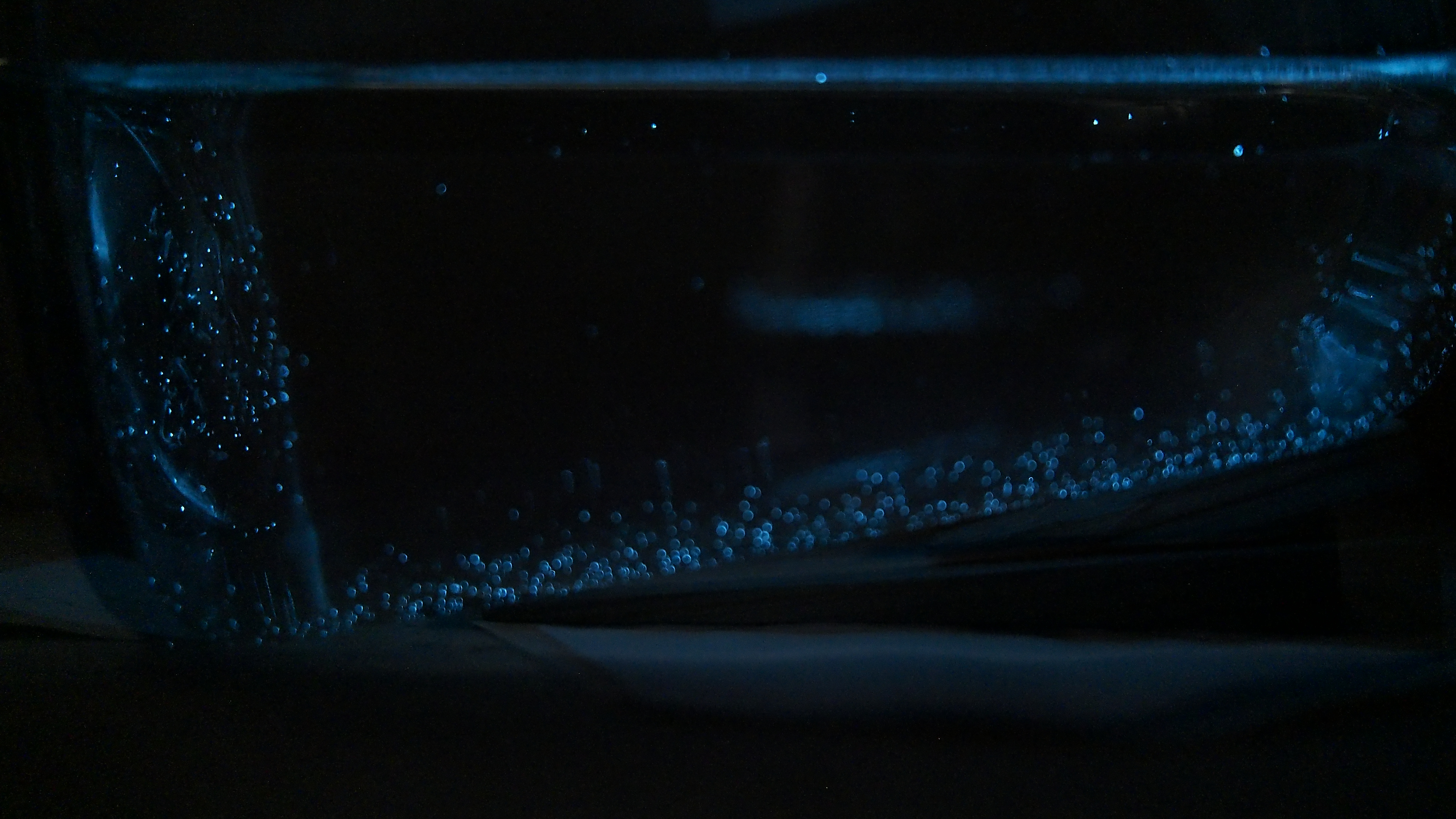 Sigve morildblink1.jpg